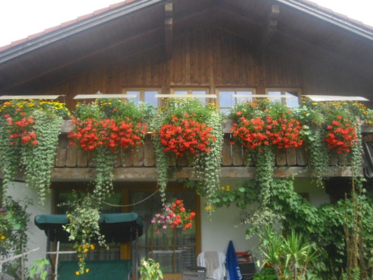 Haus Auerhahn Apartment Bad Hindelang Exterior photo